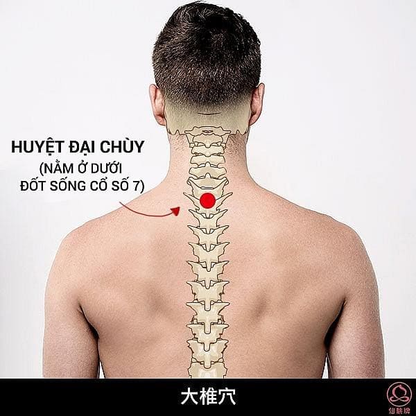 Huyệt Đài Chùy : đả thông kinh lạc