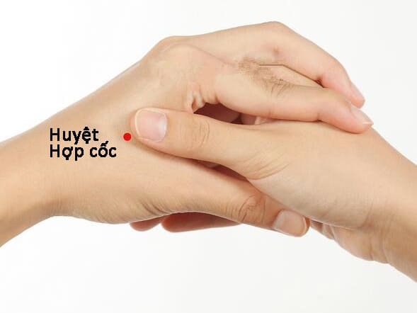 Huyệt Hợp Cốc : giúp giảm đau