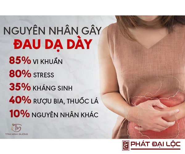 Nguyên nhân nào gây đau dạ dày