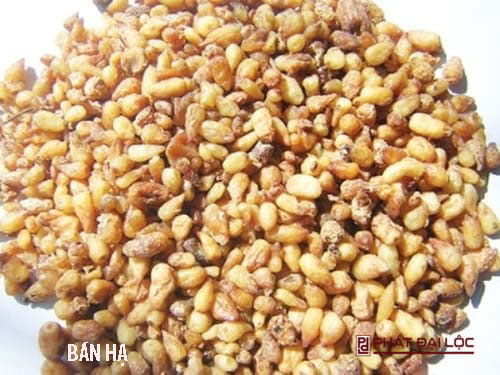Bán Hạ