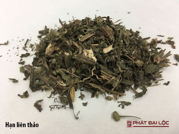 Hạn liên thảo