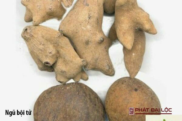 Ngũ bội tử