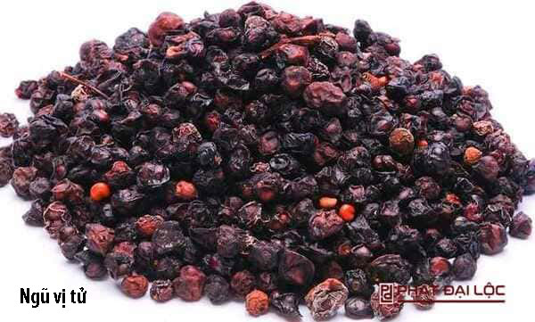 Ngũ vị tử