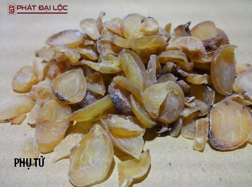 Phụ Tử