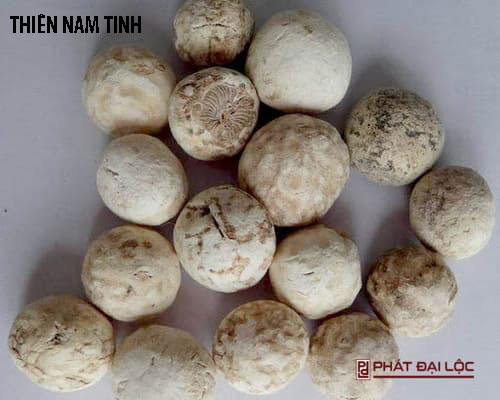 Thiên Nam Tinh