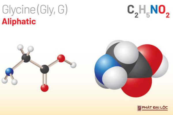 Cấu tạo phân tử của Glycine