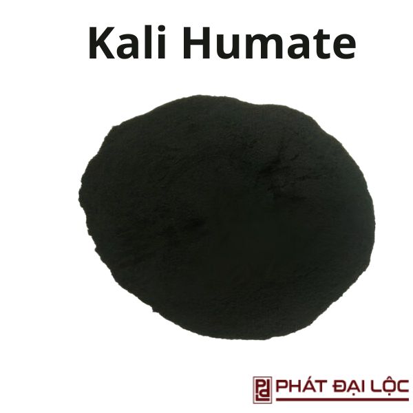 Kali Humate Gap 01P (45 -51% Humic; 8% K20)