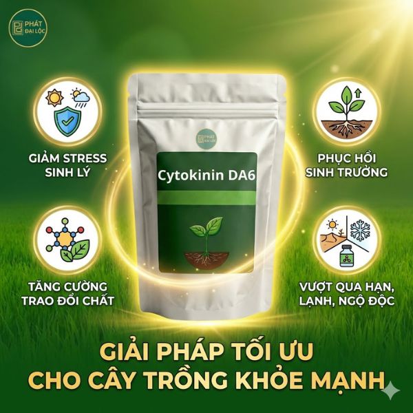 Cytokinin DA6