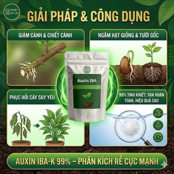Auxin IBA-K 99% – Phân Kích Rễ Cực Mạnh Cho Giâm Cành, Chiết Cành, Ngâm Hạt Giống