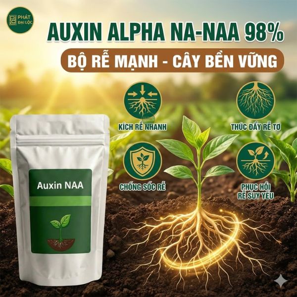 Auxin NAA